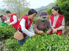 安徽休寧月潭湖鎮：美麗鄉村 振興有我