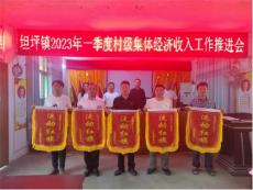 坦坪鎮(zhèn)組織召開一季度發(fā)展壯大村級集體經(jīng)濟(jì)總結(jié)大會