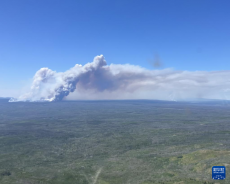 加拿大西部地區高溫干旱野火蔓延